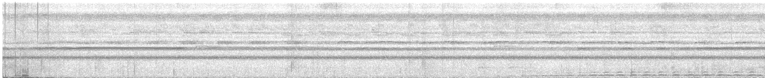 Молуккская иглоногая сова - ML218134711