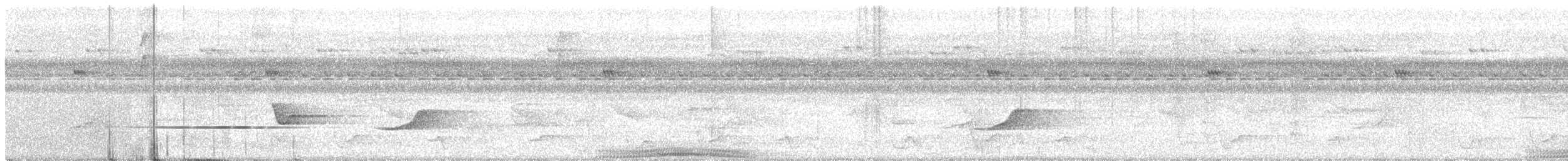 holub modroocasý - ML218137771