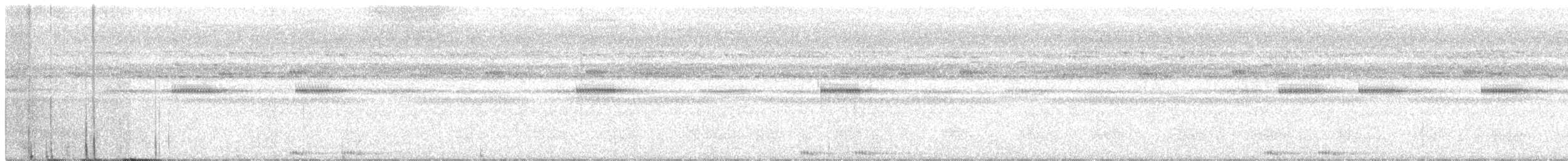 Танимбарская иглоногая сова - ML218138161