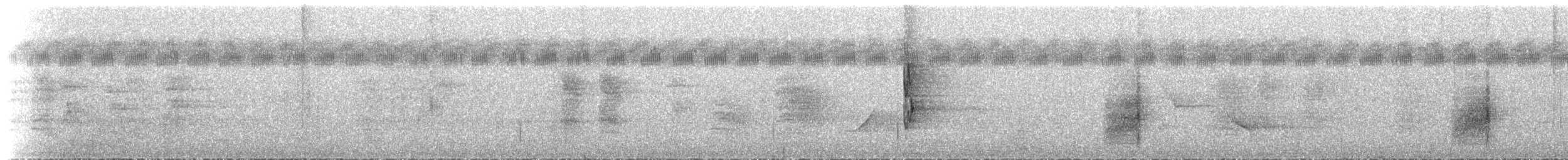 クロオビミツスイ - ML218144