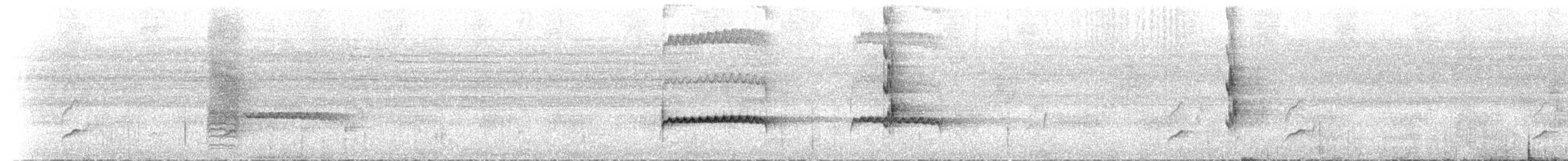 ハイガシラヒメカッコウ（variolosus グループ） - ML218148