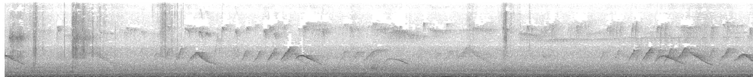 Белоухая сибия - ML218154531