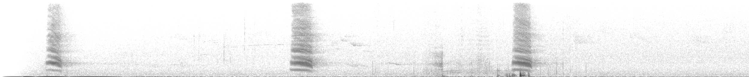 Flötenkrähenstar (dorsalis) - ML218159