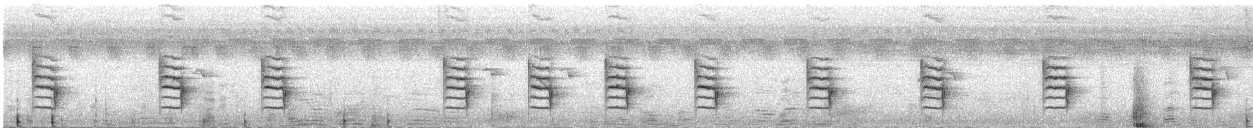 Green-backed Camaroptera (Gray-backed) - ML218181111