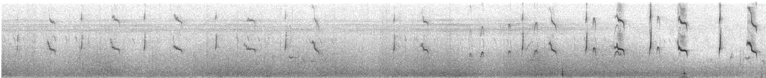 Pied Kingfisher - ML218182011