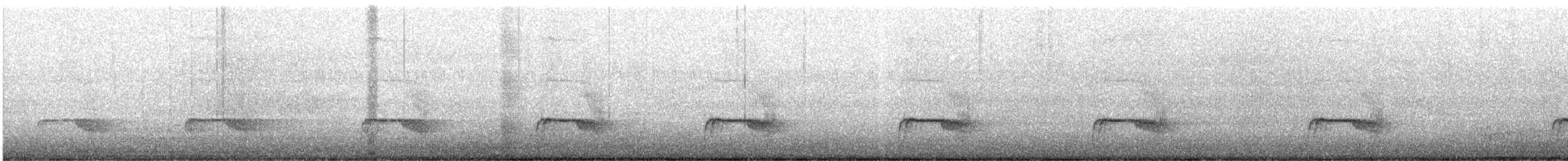 Schmalspiegel-Nachtschwalbe - ML218185