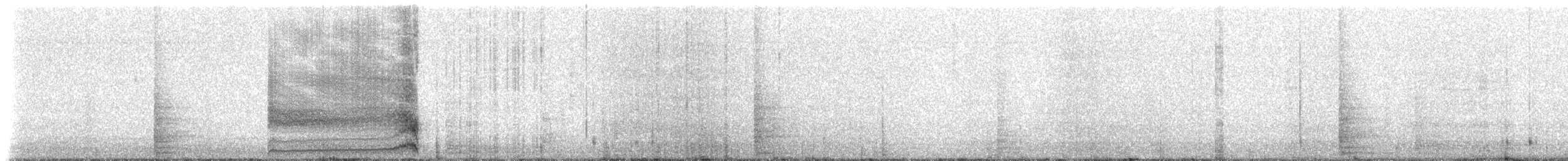 Hibou des marais (sandwichensis) - ML218186