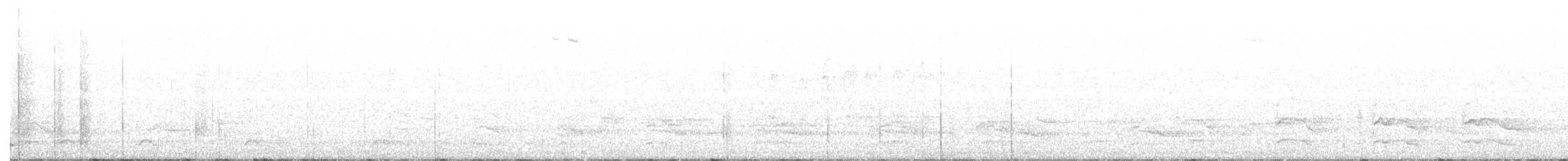Rotschulterbussard [lineatus-Gruppe] - ML218190461
