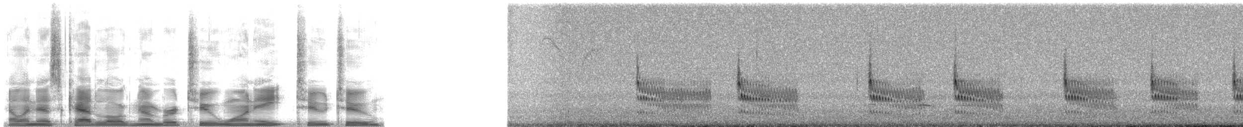 Grass Wren (Paramo) - ML21822