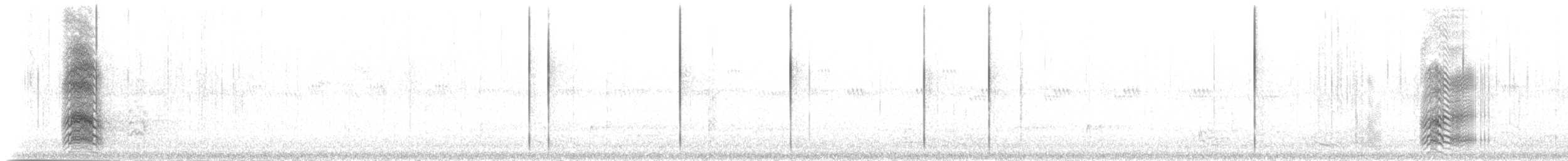 Синелобая аратинга (acuticaudatus/neumanni) - ML218250