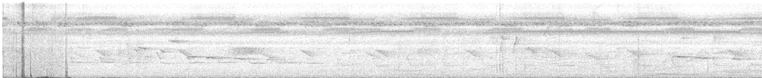 pygmégjøk (crassirostris) (hvitvingegjøk) - ML218256011