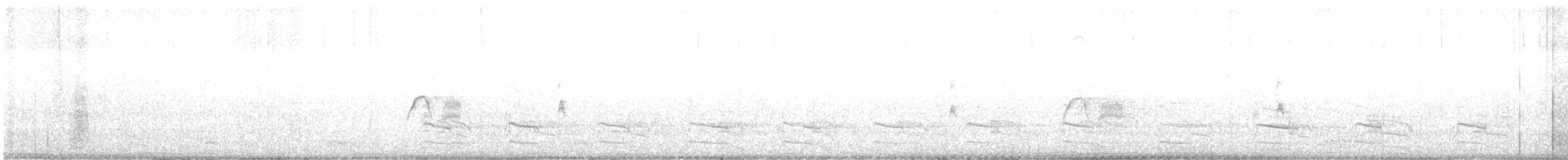 Weißbauch-Phoebetyrann - ML218256571