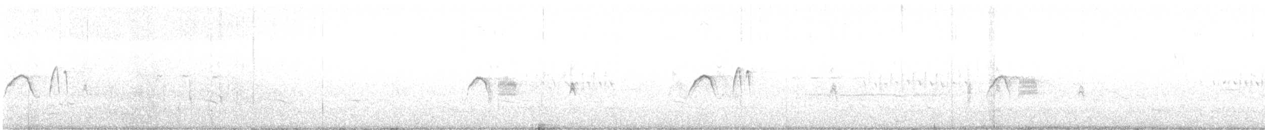 Светлобрюхий фиби - ML218257811