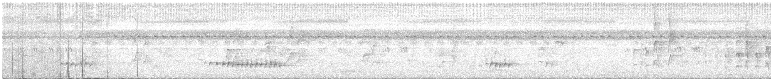 Медовець плямистоволий - ML218259911