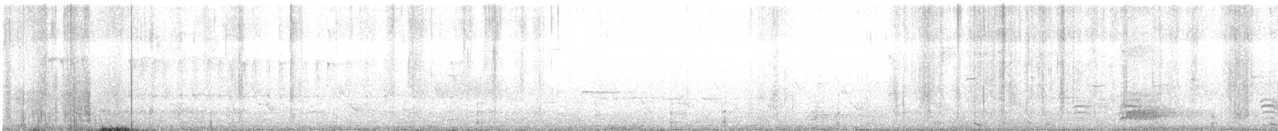 Weißbrustkleiber - ML218267221