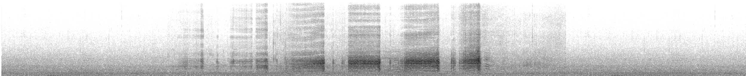 Chionis blanc - ML21827171