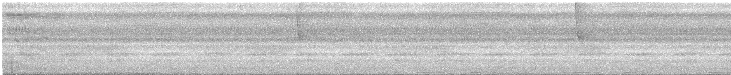 holub černošíjný - ML218324611