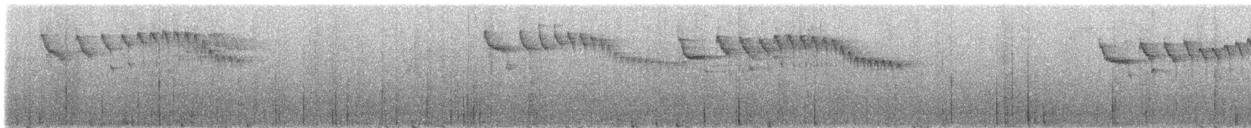 Graukronen-Schnäppertyrann - ML218484