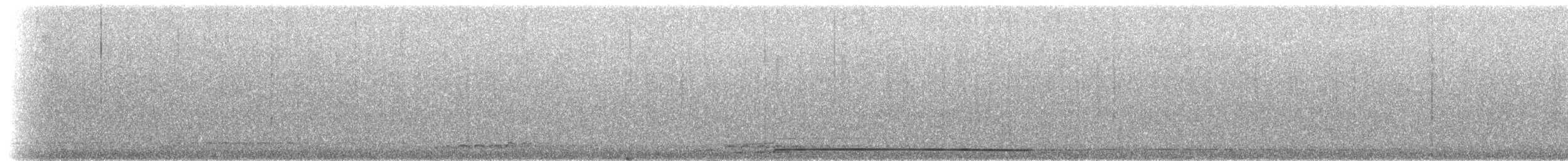 Черноклювая гагара - ML218491