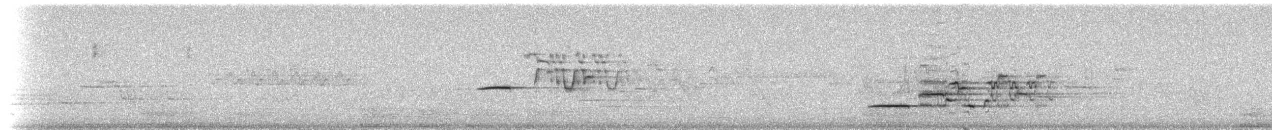 Дрізд-короткодзьоб плямистоволий - ML218494