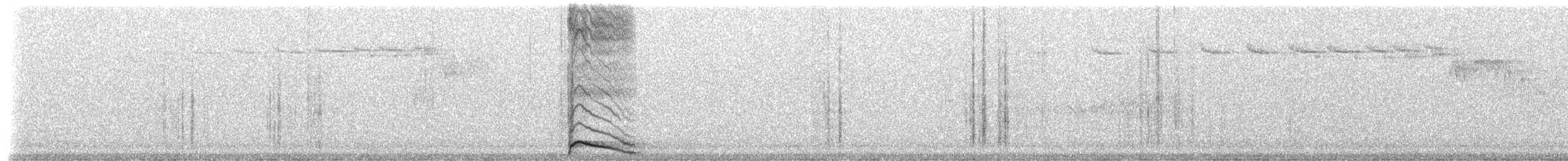 Белка Дугласа - ML218496