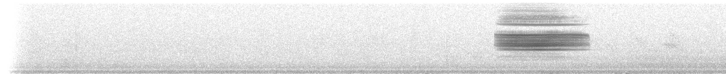 Разноголосый дрозд - ML218497