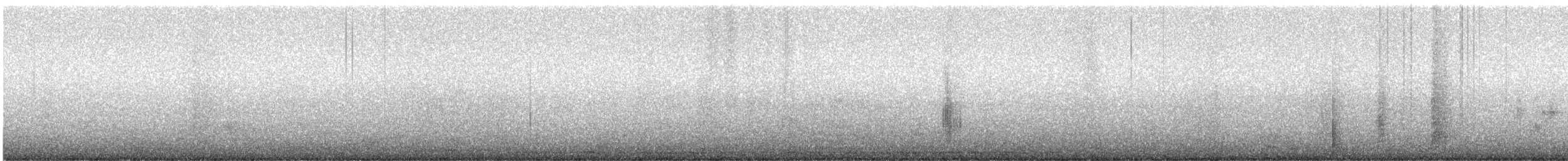 Chouette rayée - ML218505801