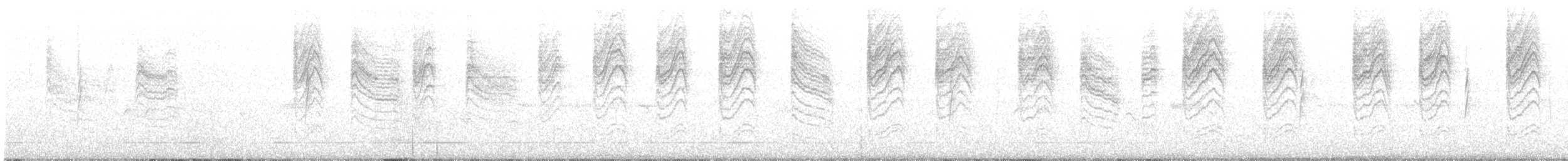 leskot modrošedý [skupina obscura] - ML218535051