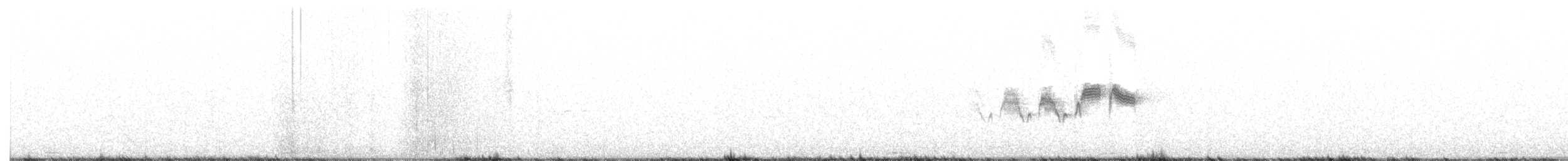 Black-throated Gray Warbler - ML218547671