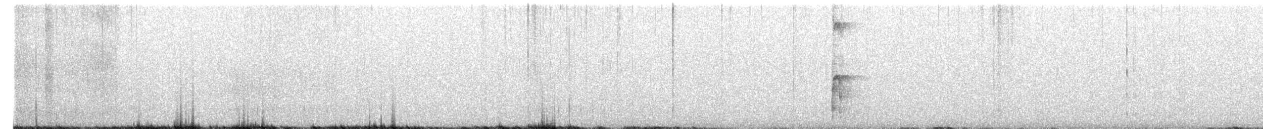 Hairy Woodpecker - ML218556221