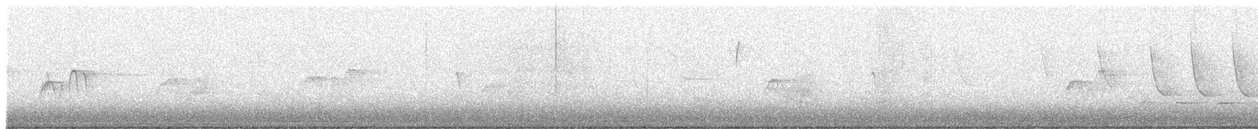 Светлобрюхий фиби - ML218566131