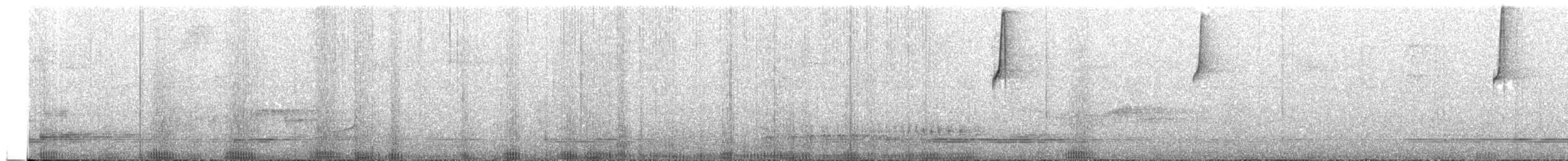 Серогорлый колибри-отшельник - ML218567921