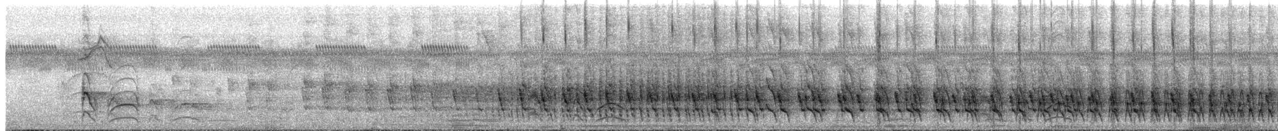 Grauschopf-Haubenläufeer - ML218573921