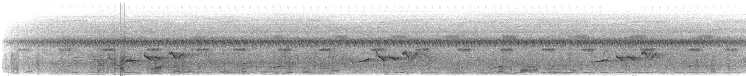 Collared Palm-Thrush - ML218619451