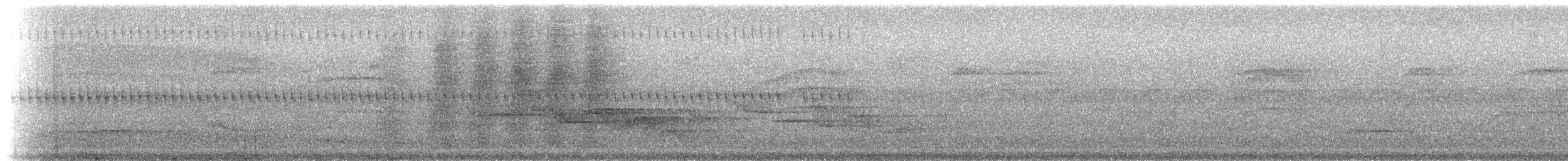 White-eared Ground-Sparrow - ML218638