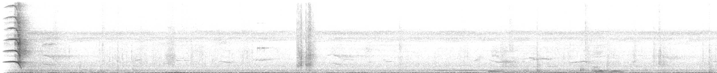 White-throated Thrush - ML218640