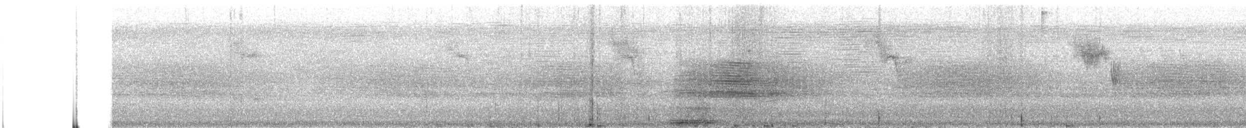 euphonia sp. - ML218641