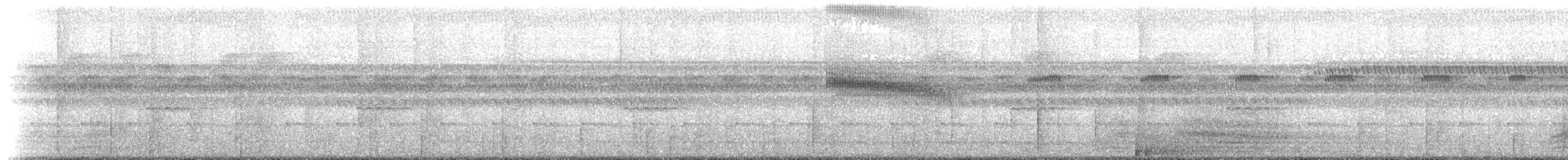 White-crowned Manakin (Guianan) - ML218647