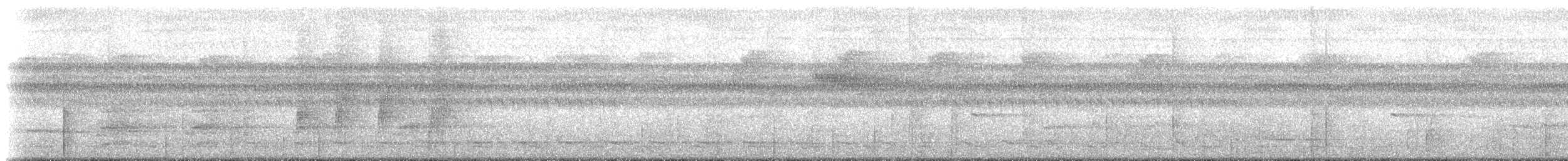 White-crowned Manakin (Guianan) - ML218648