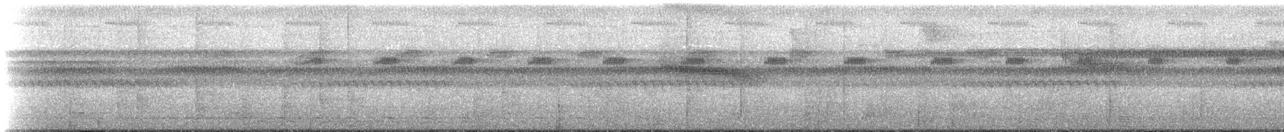 White-crowned Manakin (Guianan) - ML218650