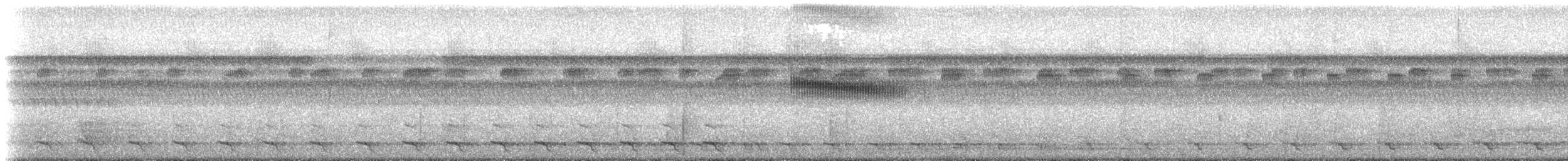 White-crowned Manakin (Guianan) - ML218651