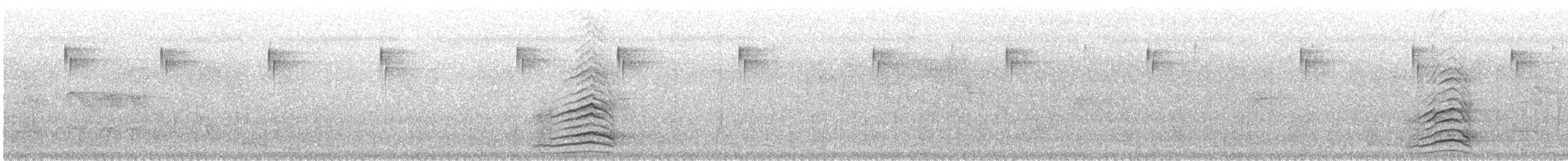 Malabar Gray Hornbill - ML218652061