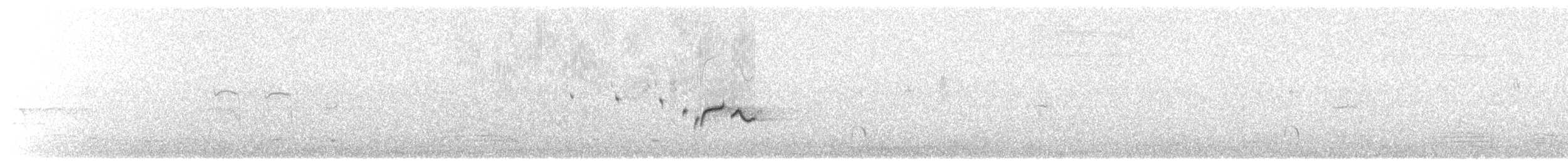 Stutzschnabel - ML218654741