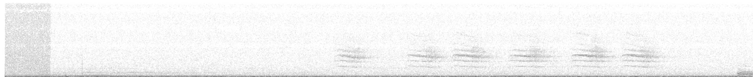 Barred Owl - ML218688801