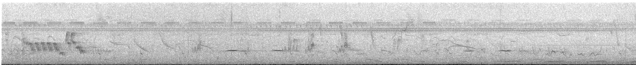 Tinamu sabelzuria - ML218700461