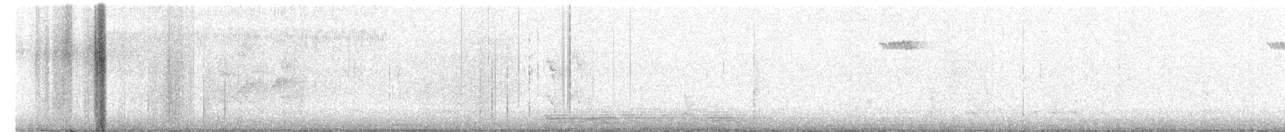 Brown Creeper - ML218763631