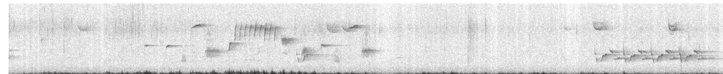 Song Sparrow - ML218764681