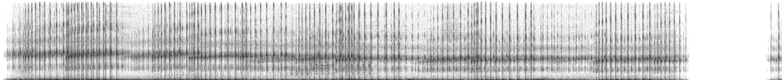 Striped Chorus Frog - ML218784