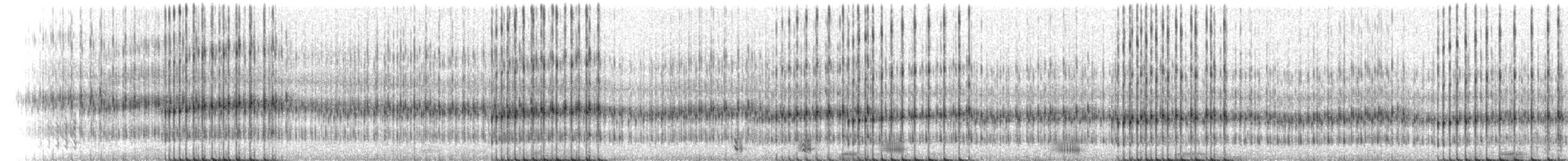 Striped Chorus Frog - ML218785