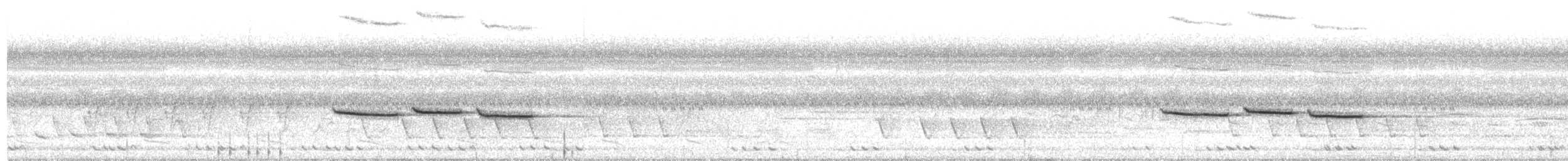 Spot-necked Babbler - ML218787701